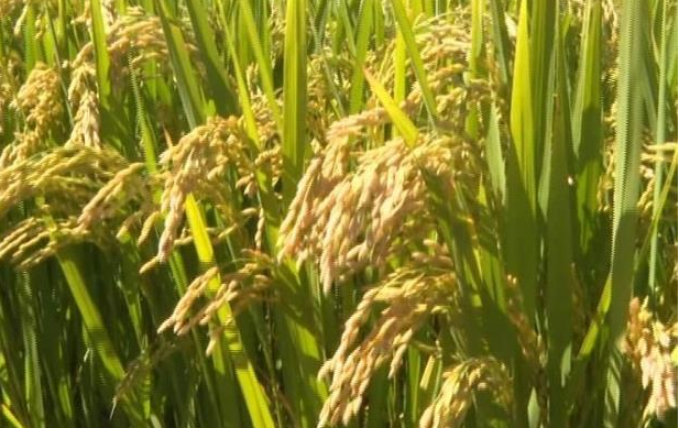 20230109155604095128.png image.png