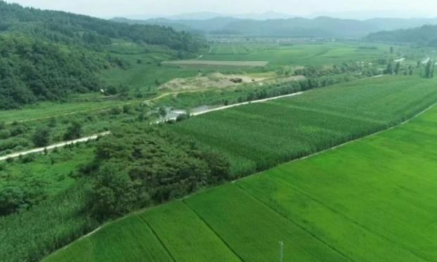 20230109155623002010.png image.png